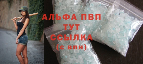 сатива Инсар