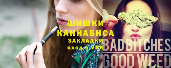 сатива Инсар