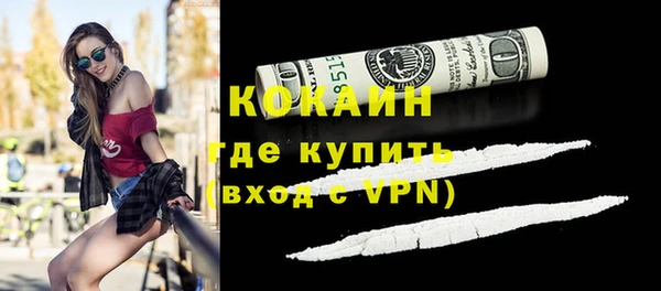 дживик Инта
