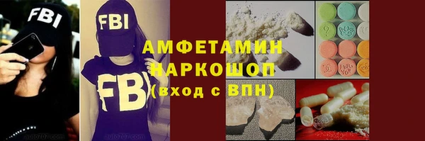 дживик Инта