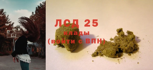 сатива Инсар