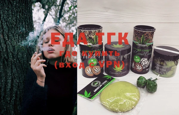 сатива Инсар