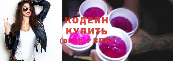 дживик Инта