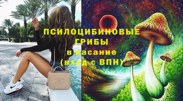 дживик Инта