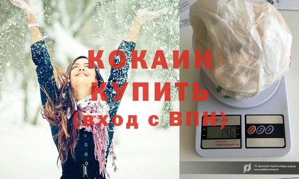 дживик Инта