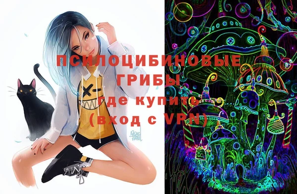 дживик Инта