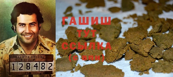 дживик Инта