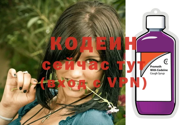сатива Инсар