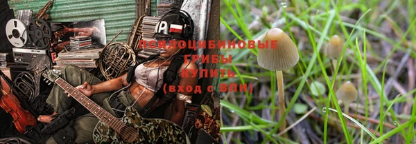 дживик Инта