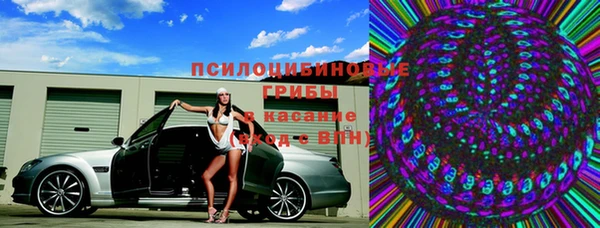 дживик Инта