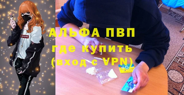 сатива Инсар
