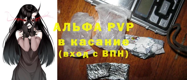 сатива Инсар
