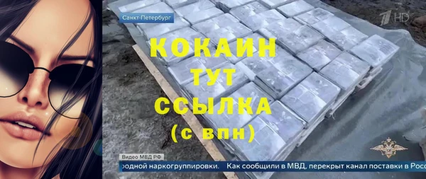 сатива Инсар