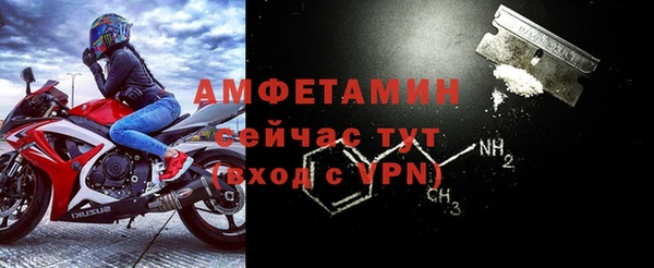 твердый Иннополис
