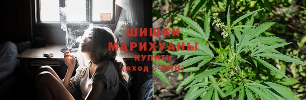 твердый Иннополис