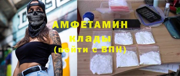 сатива Инсар