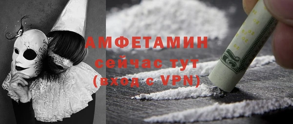 твердый Иннополис