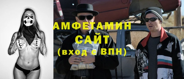 сатива Инсар