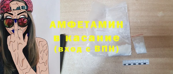 дживик Инта