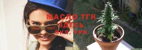 сатива Инсар